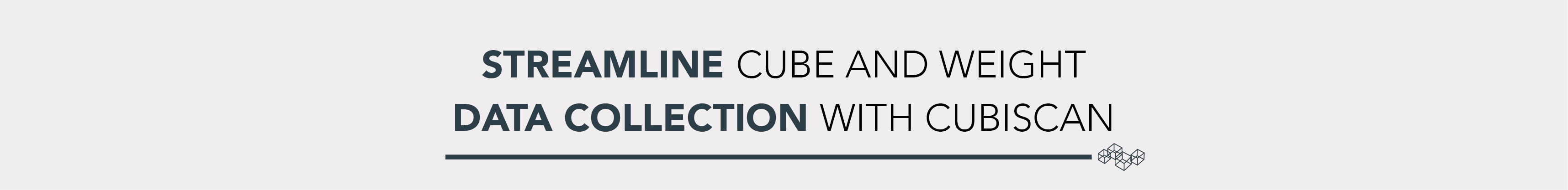 Deckers Outdoor Cubiscan 150 case study